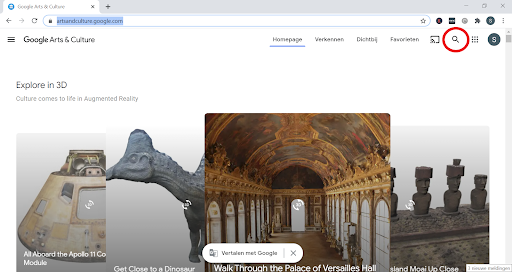 Screenshot Google Arts & Culture pagina