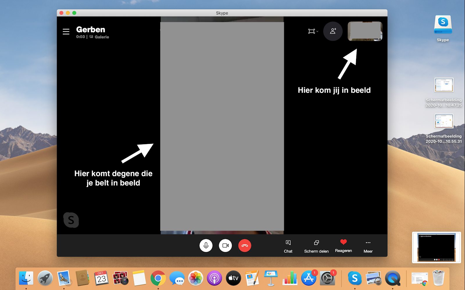 Screenshot videogesprek in Skype